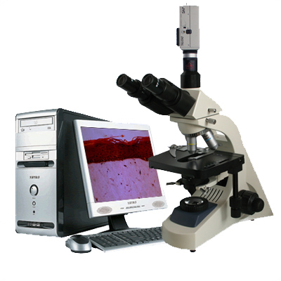 BM19A-MNUV模拟摄像生物显微镜