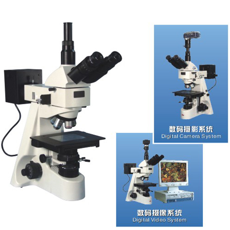 53XB三目正置金相显微镜