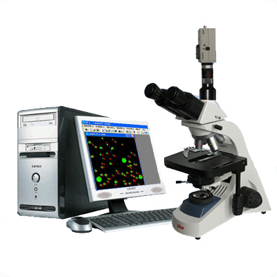 BM19A-TH管材炭黑评级显微镜
