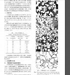 共晶相就是液相这个说法对吗？